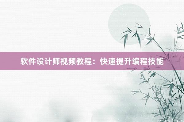 软件设计师视频教程：快速提升编程技能